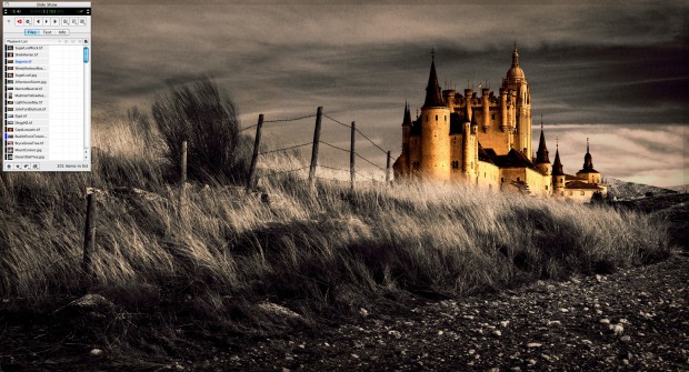 Phase One Media Pro - Diashow (Bild: Phase One)